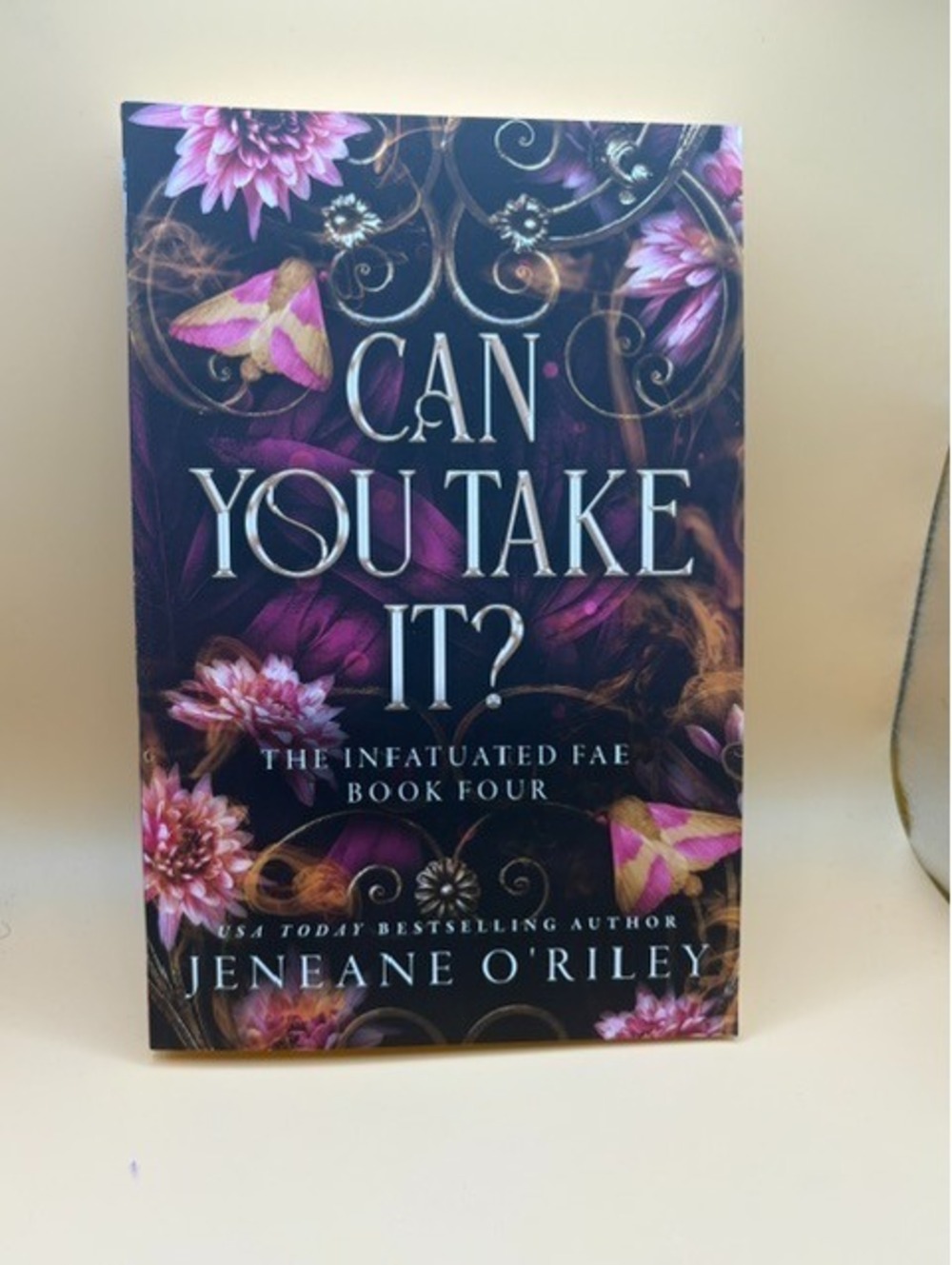 Can You Take It? (Infatuated Fae, Book 4 of 4) Paperback New